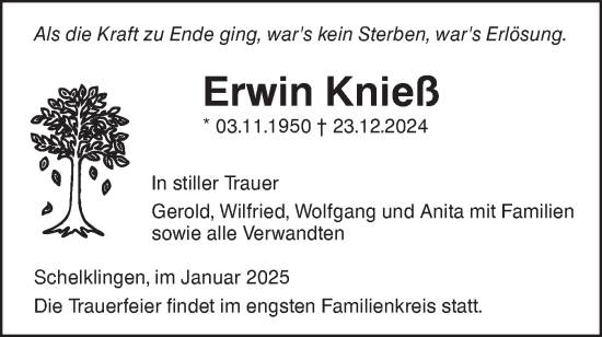 Traueranzeige von Erwin Knieß von Ehinger Tagblatt