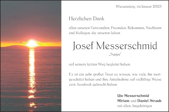 Traueranzeige von Josef Messerschmid von Geislinger Zeitung